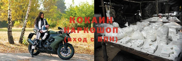 шишки Новочеркасск