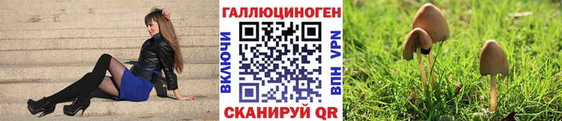 Псилоцибиновые грибы Psilocybine cubensis  цены наркотик  Эртиль 